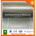 PVC Coated Hexagonal Wire Netting / malha de arame hexagonal / malha de arame de galinha hexagonal